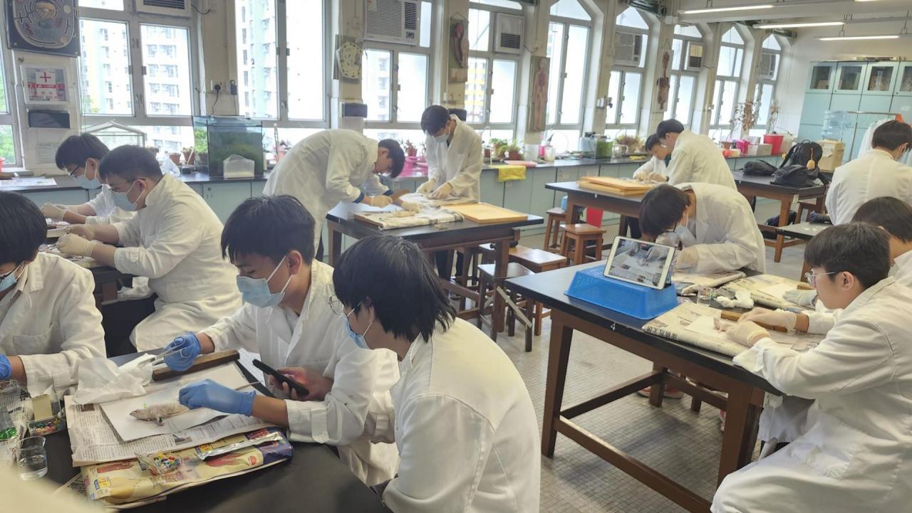 解剖白老鼠