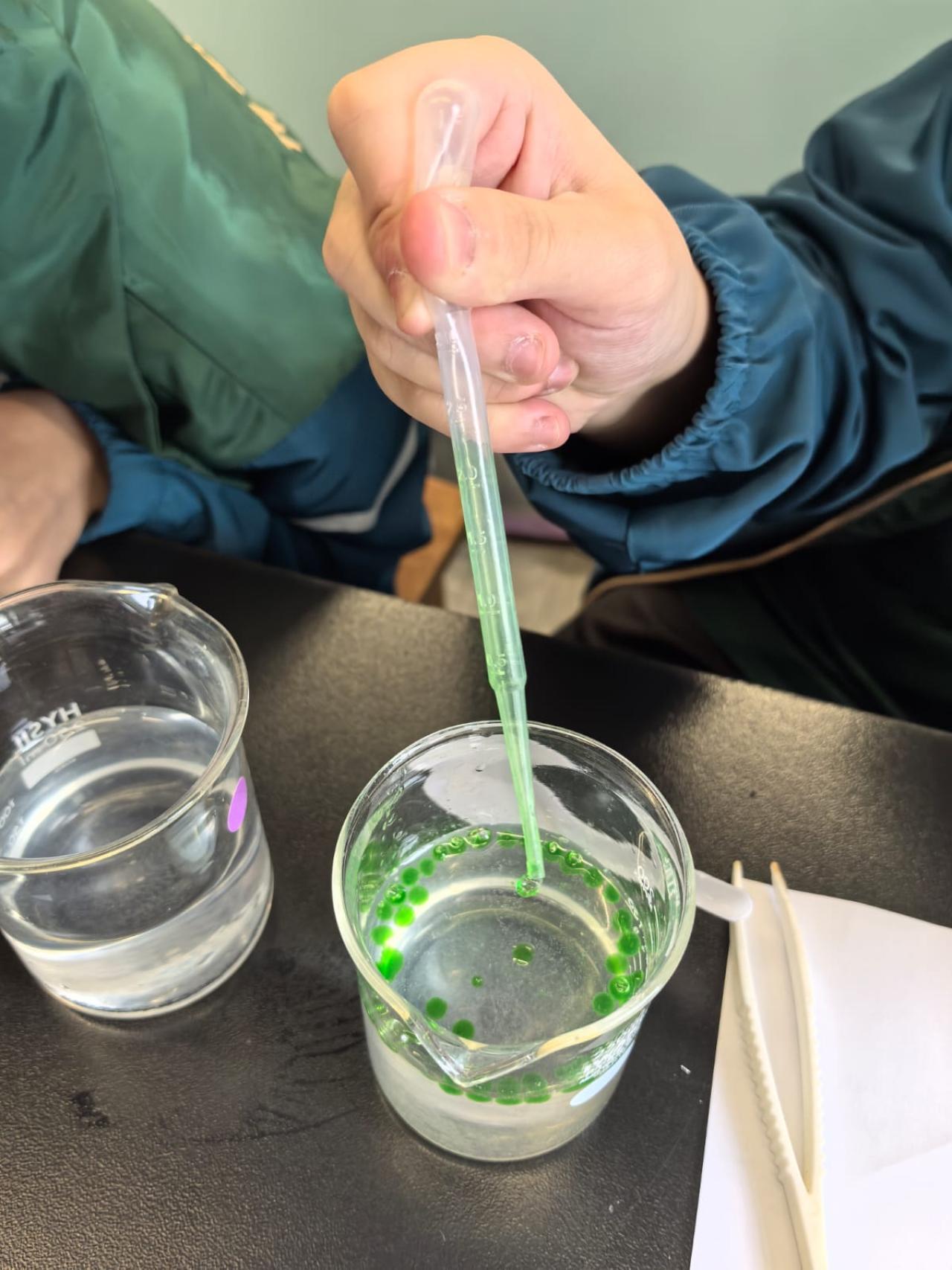 STEM WEEK化學實驗活動(2026-27) 學生們在實驗室運用了凝膠交聯反應（Spherification）的原理，親手用海藻酸鈉（Sodium Alginate）製作分子料理「假意粉」（如汽水、果汁或巧克力意粉）。